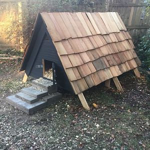Duckhouse7