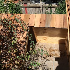 Duckhouse3