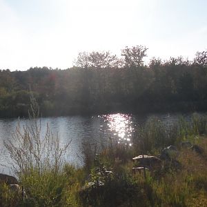 102_6419