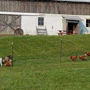 20170904_170652