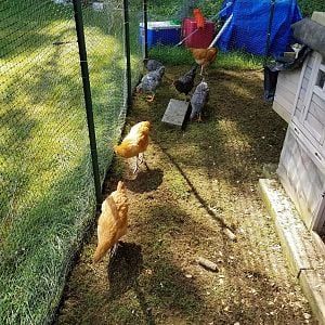 20170821_112153