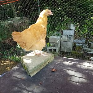 20170822_122939