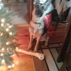 20171225_111053