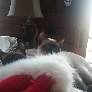 20171226_120850