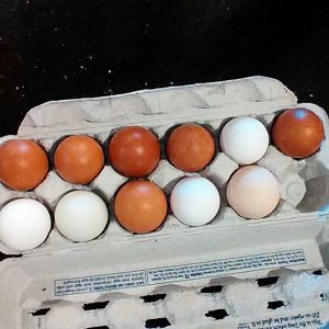 Received_717328648477162