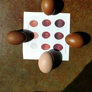 Received_10207596246062780_kindlephoto-6141180