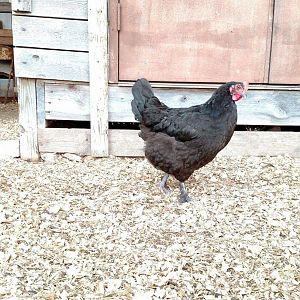 Received_10207686726004722