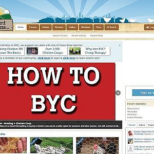 Demo of BackYard Chickens (BYC) Website / Forum - YouTube
