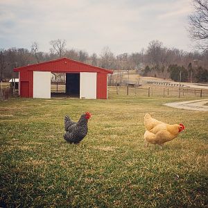 IMG_0202