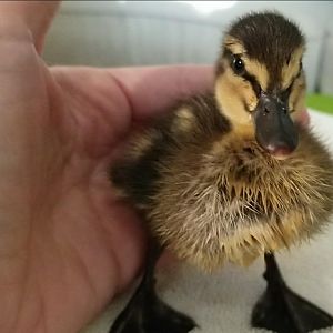 27047191_10215556315001497_934612259_o