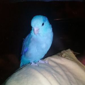 20180126_005902