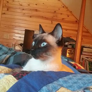 20180125_152754