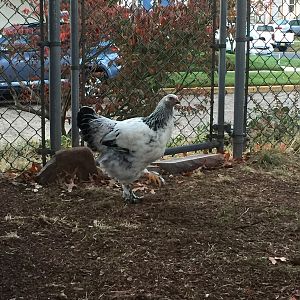 AB2E603A-3F08-4F8C-BB2A-F04BC95E9F6F