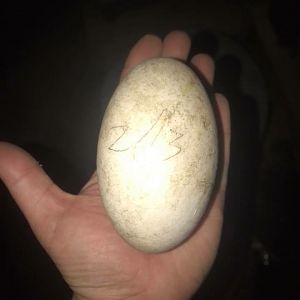 E0237997-8F6C-4EFD-92AB-E810B8BF9995