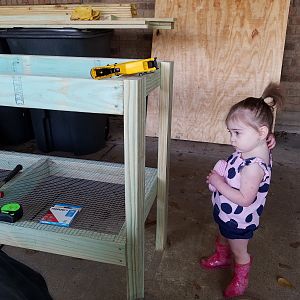 8'x2' Brooder I built