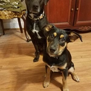 Charlie & Piper