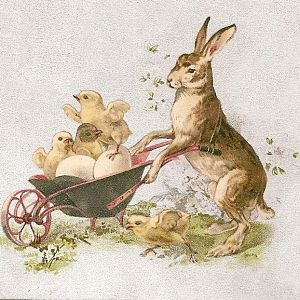 Spring Bunny With Chicks