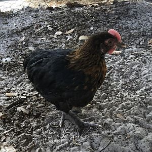 8034C2C5-7C4D-4E16-89D5-D450E39BC62B