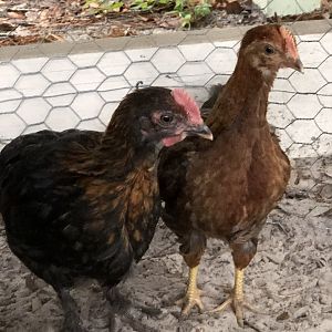 18713DA2-7F0A-4FFD-A550-471F7025C0F7