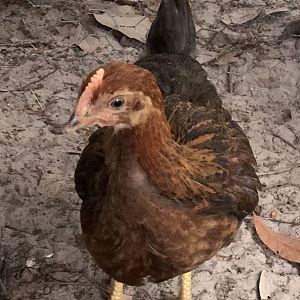 67253C69-1C49-4235-9DFE-A73A45AA6F0A