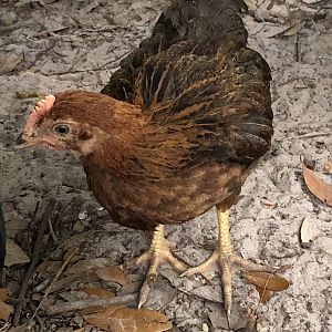 CE871E1A-3B75-4FA2-A5C1-2FEE7B72C6FD