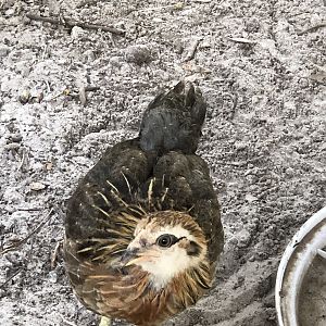 20D9CC0D-D1F7-447B-997E-16F4889506A9