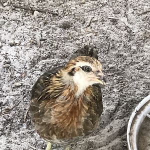 37AB0BFB-657B-40D6-A63A-78767CC08B23