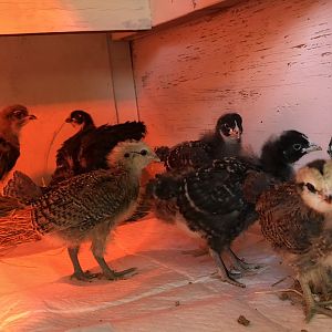 6B249800-A05E-44D4-9F55-152E4EFD9E8E