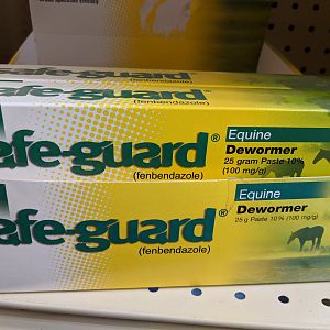 Safe-guard Horses