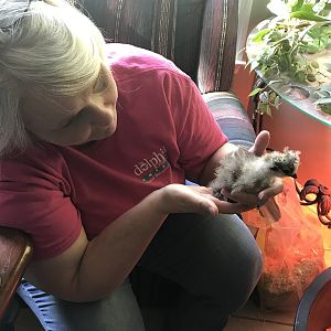 C47B7ABD-B32E-4227-B3A0-4B2E7302A4B4