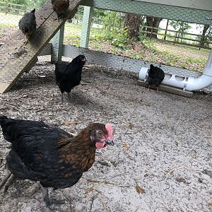 6AA5633F-F61D-4582-8CEB-5DF5E83BA645