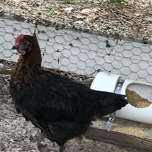 A55BEEFC-6FA1-4146-92DD-1998B3C52E68