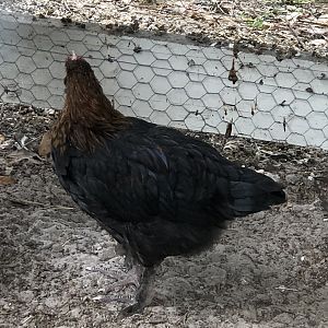 74FA0BF4-DEE3-4AC9-91A8-B27F9F5D5495