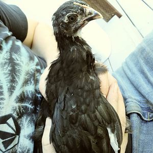 20180422_163954_Film2