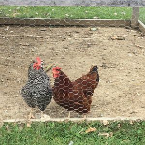 192FE31B-E64F-4AC7-B8A0-CC4DABFDEB33