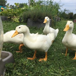 54D12F71-AE1D-48FF-8DC2-222879DED73D