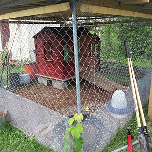 Duck House
