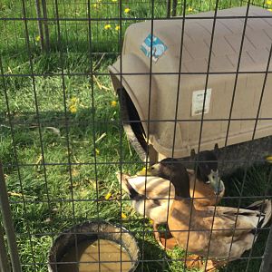 A81D6A6D-59C5-4CA0-A558-C885E315FD65