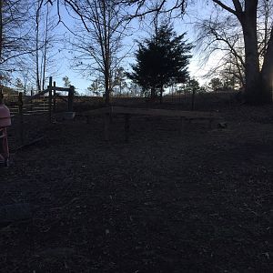 Chickens will have a nice Southern view