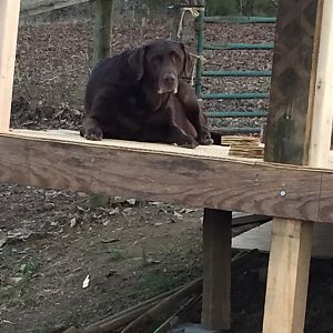 A little too much supervision