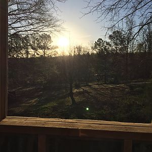 Easter Sunrise, flock’s view