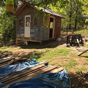 24 chicks are patiently waiting