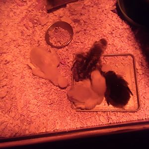 20180527_212908