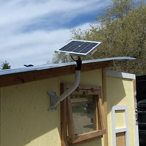 Coop Solar Panel Installed