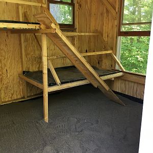 Inside of the 8’x10’ coop with two levels of roosts