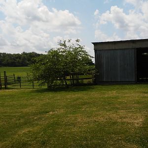 20180618_141354