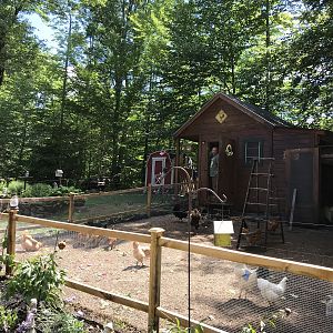 Chicken yard completion...