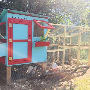 Our Coop!