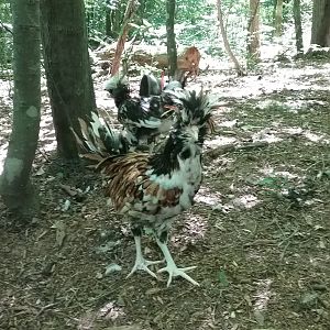 20180709_123800