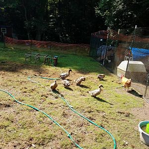 20180726_104524